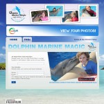 Dolphin Marine magic